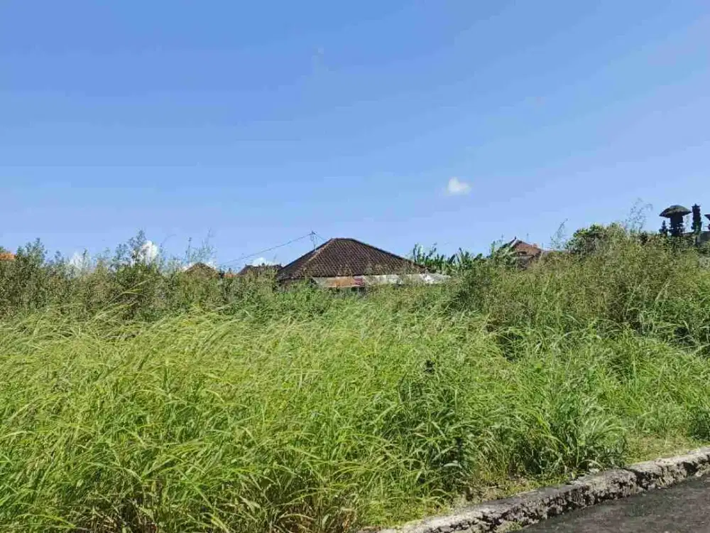 Jual Tanah Luas 138m² HAK MILIK &amp; ZONA KUNING, Tidak Banjir Lokasi Gg. Mertasari Kerobokan.i - Thumbnail 4
