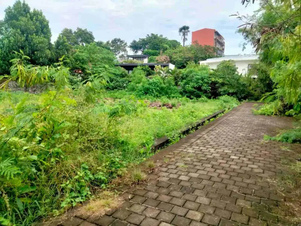 tanah bumbak umalas bali