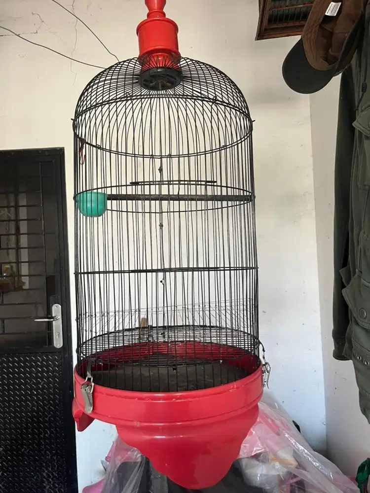 Kandang burung love bird