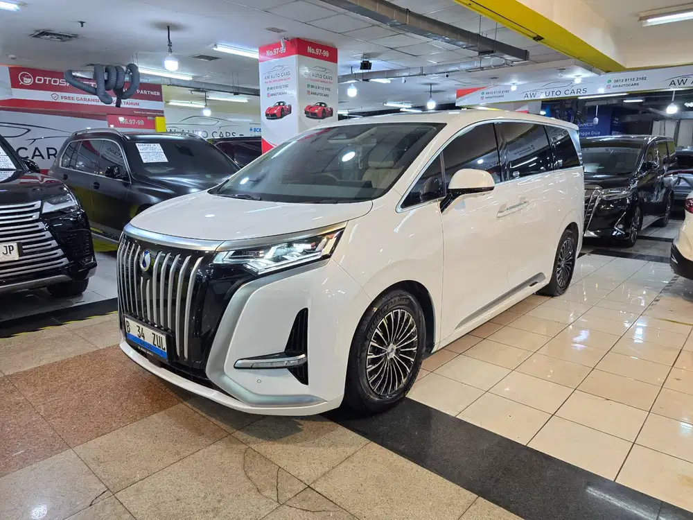 Denza D9 2025 EV Electric Car mdl 2024 M6 PPF