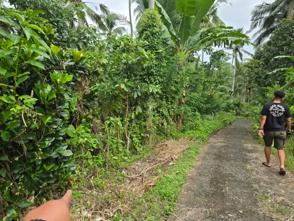 Dijual Tanah Murah