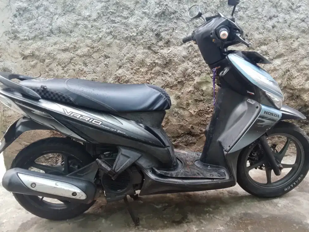Vario karbu 2006