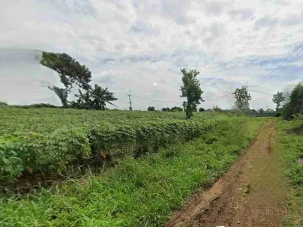 Tanah Kavling 443 m2 Dibawah NJOP Dekat Bojong Gede Kemang