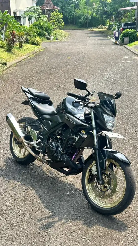 YAMAHA MT-25 2016