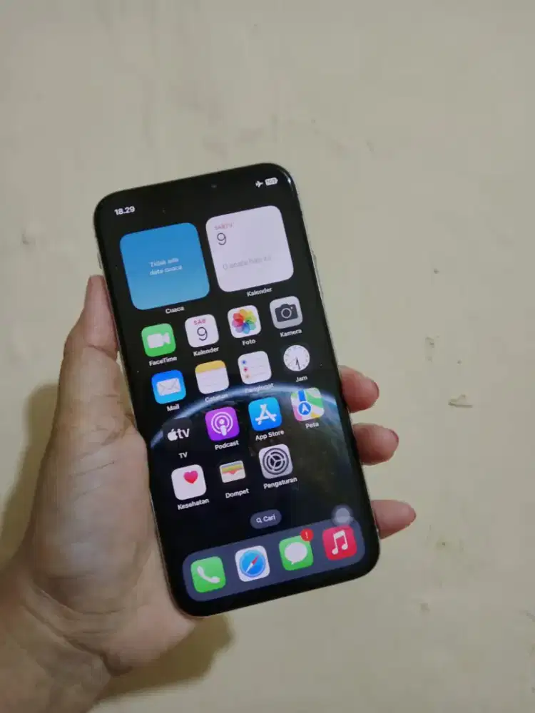 IPHONE X 256 GB