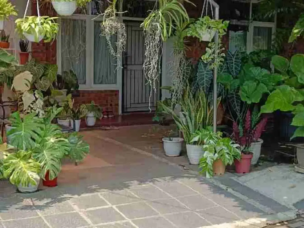 jual butuh rumah cluster elit graha ami serdang kramatwatu serang