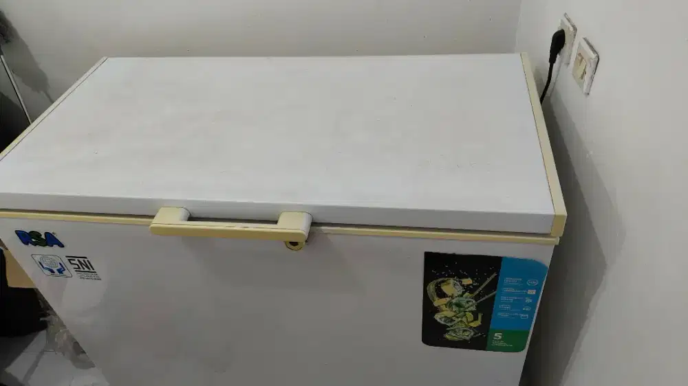 FREEZER RSA CF 310