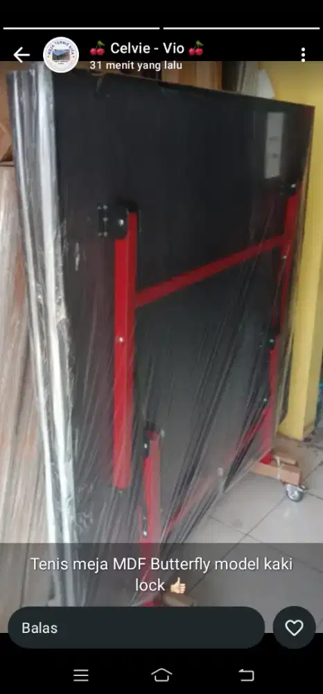 Tenis meja baru