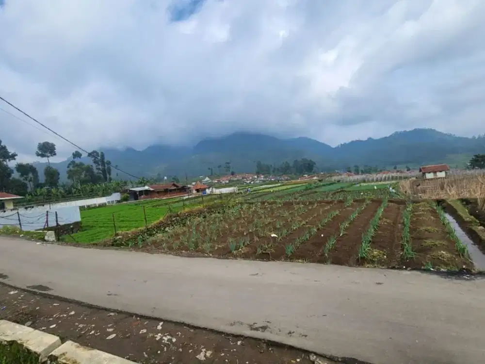 Hot Deal!!! Tanah Kebun di Jl Situ Kuluwing, Batu Kapur, Ciwidey, Soreang, Bandung