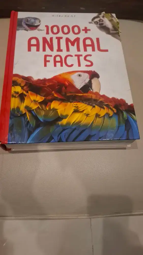 Animal facts (buku ilmu pengetahuan)