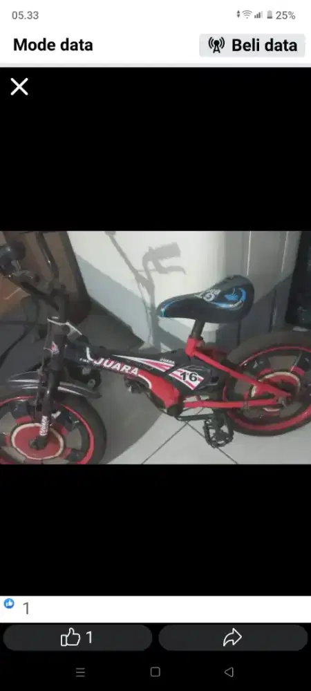 Sepeda anak ban ring 12 inci