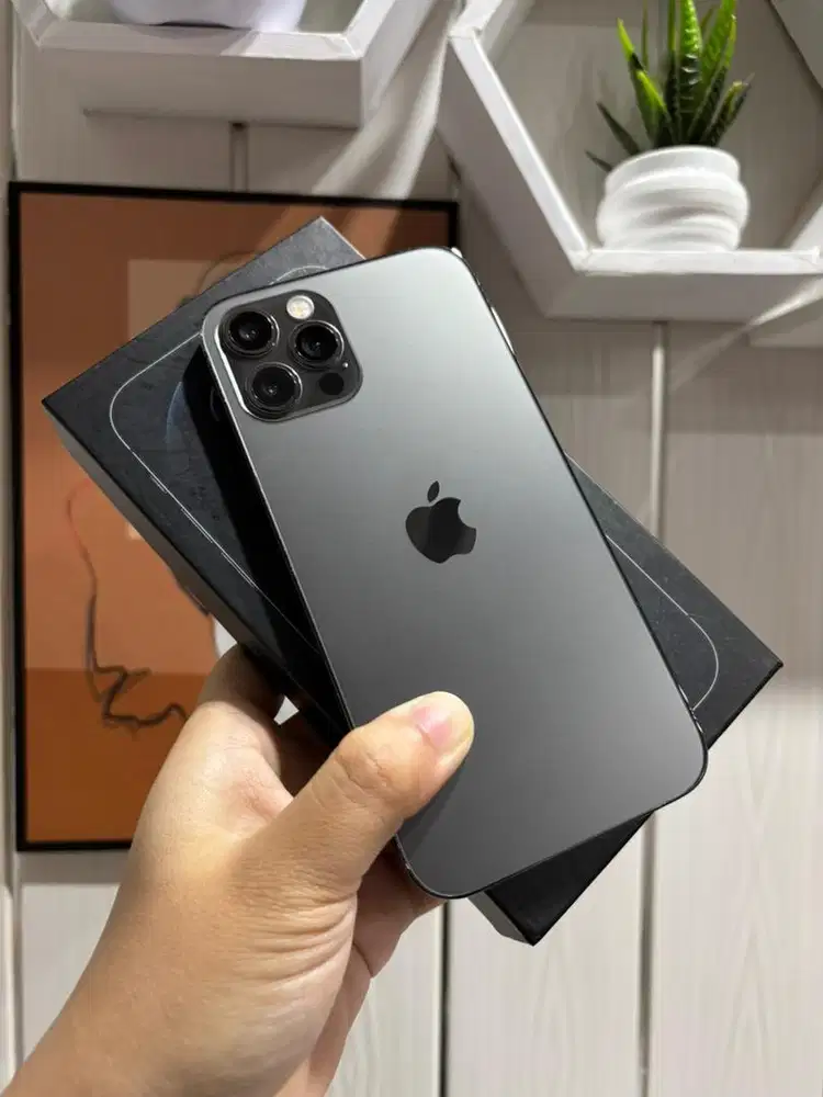 IPhone 12 Pro 256 Mulus Fullset All Operator