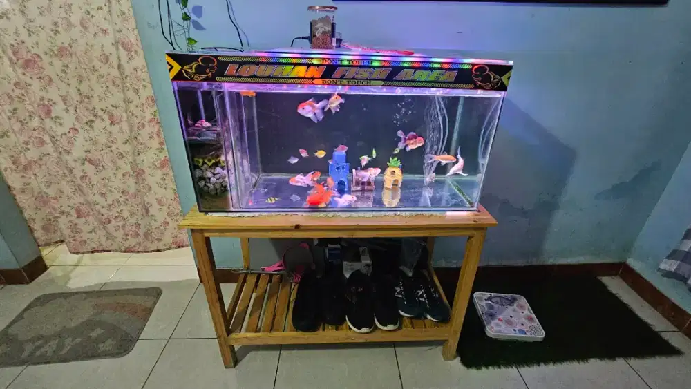Aquarium full set meja dll