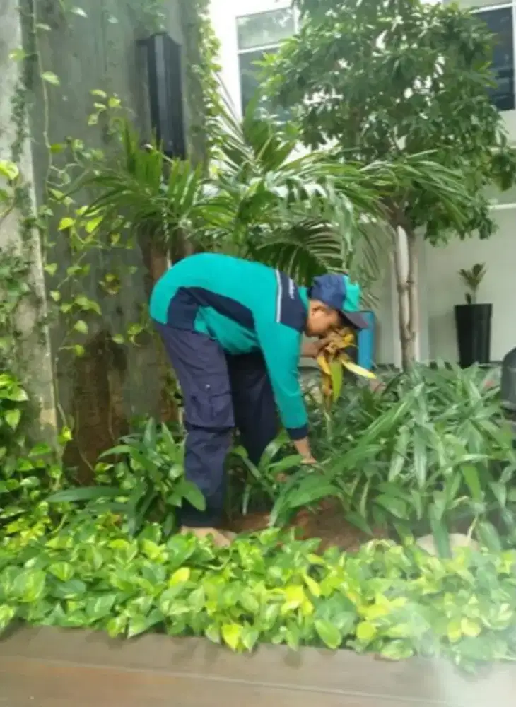 Dibutuhkan tukang bersih taman