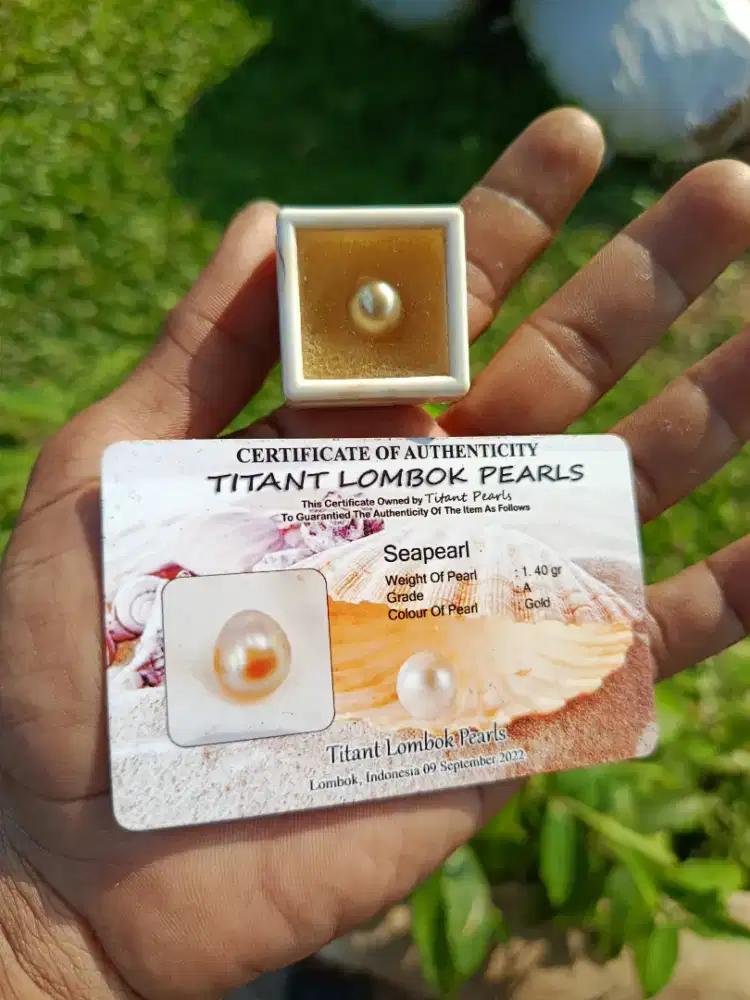 Mutiara air laut warna gold grade A