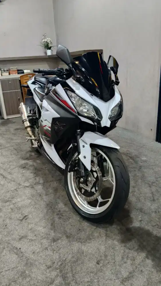 Kawasaki Ninja 250 fi ABS 2013