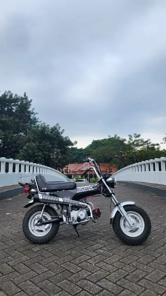 Honda Dax ST50 chopper monkey
