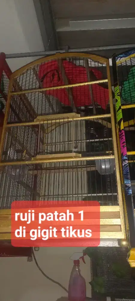 Kandang burung bekas kenari