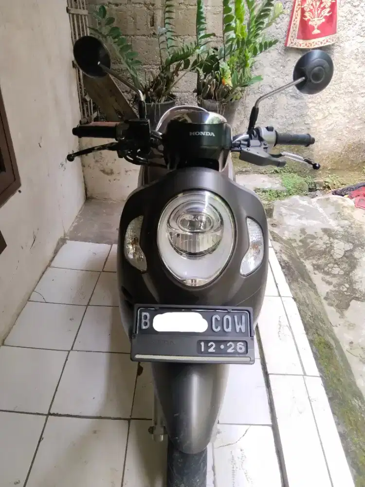 HONDA SCOOPY STYLISH MATTE BROWN 2021