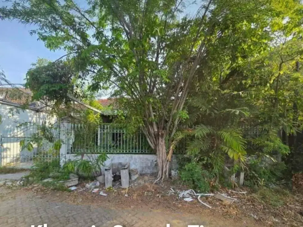 Harga Langka Klampis Semolo Hitung Tanah Investor Dkt Merr,Nginden,Manyar,Wisma Mukti