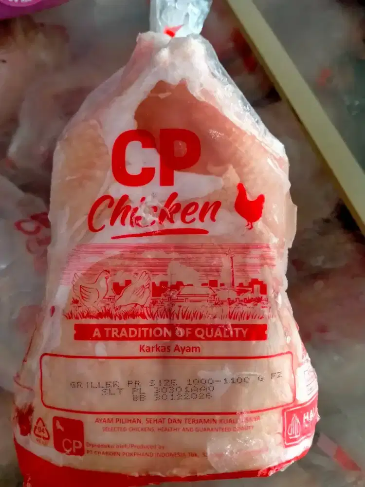 Ayam Karkas fresh &Frozen
