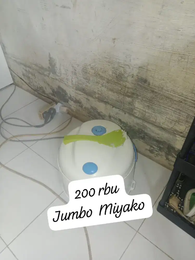 Mijikom miyakoo