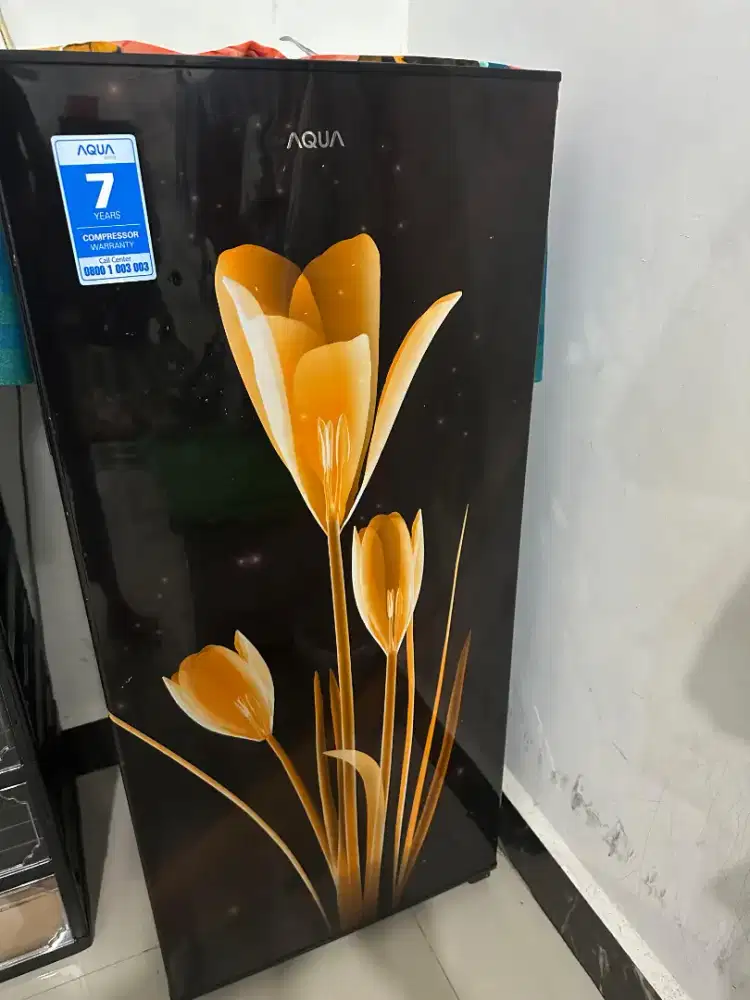 Kulkas Aqua 1 Pintu