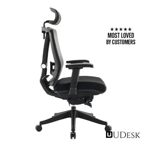 Obis Ergochair Pro V2 - Kursi kerja kantor [PREOWNED]