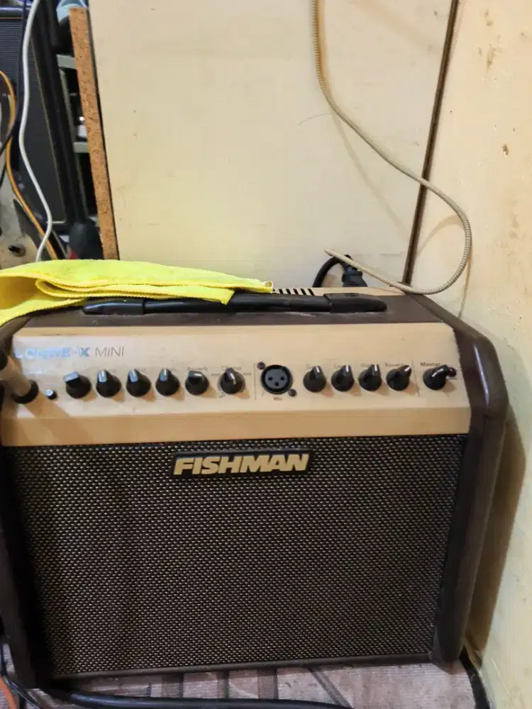 Ampli gitar Fishman Loudbox Mini