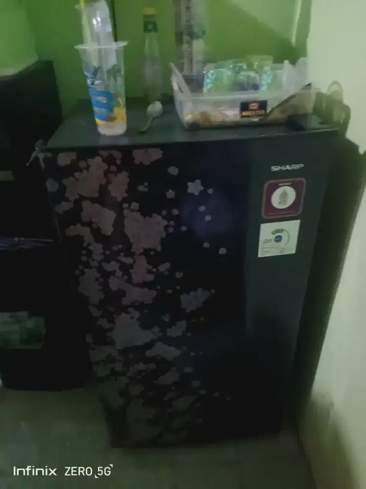 kulkas sharp 1 pintu