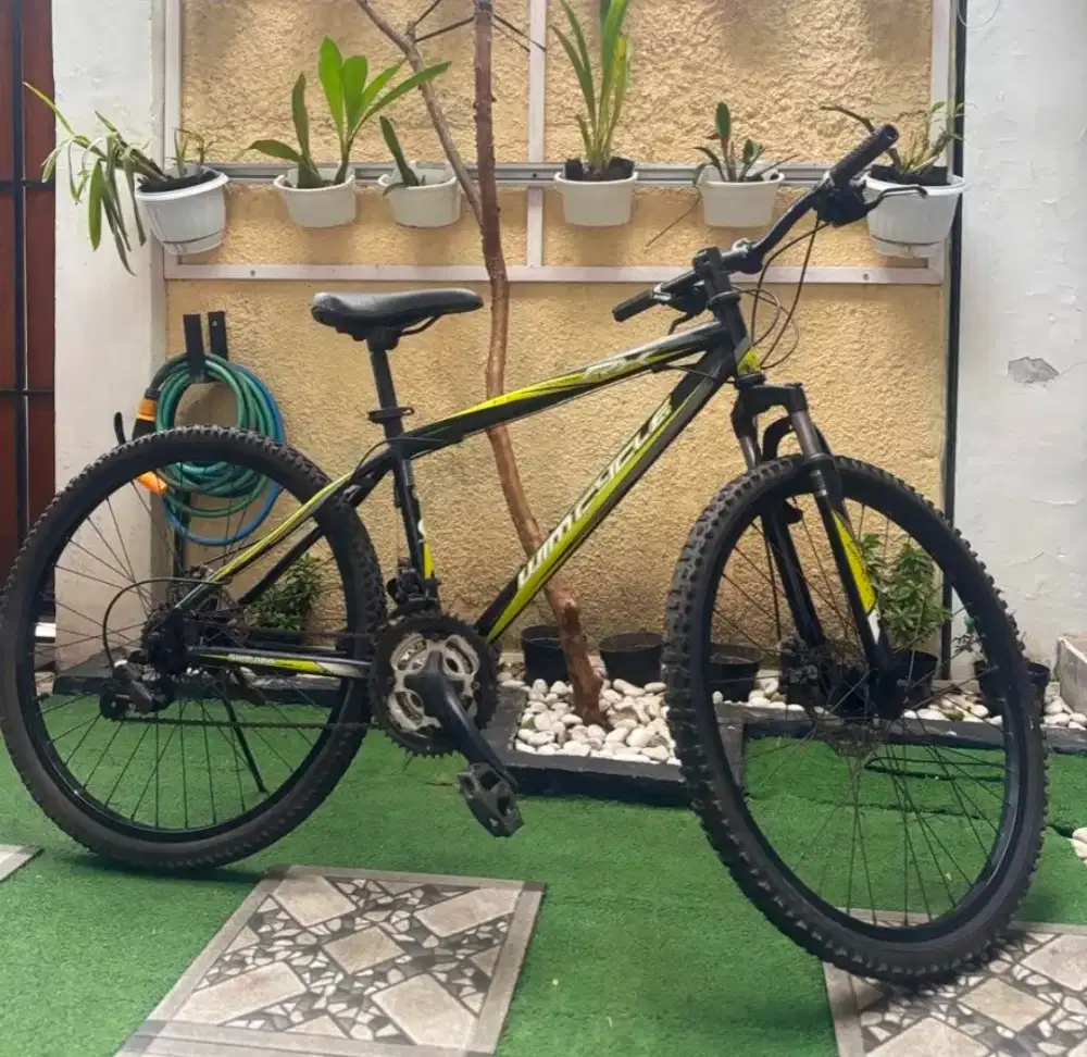 Sepeda wimcycle second