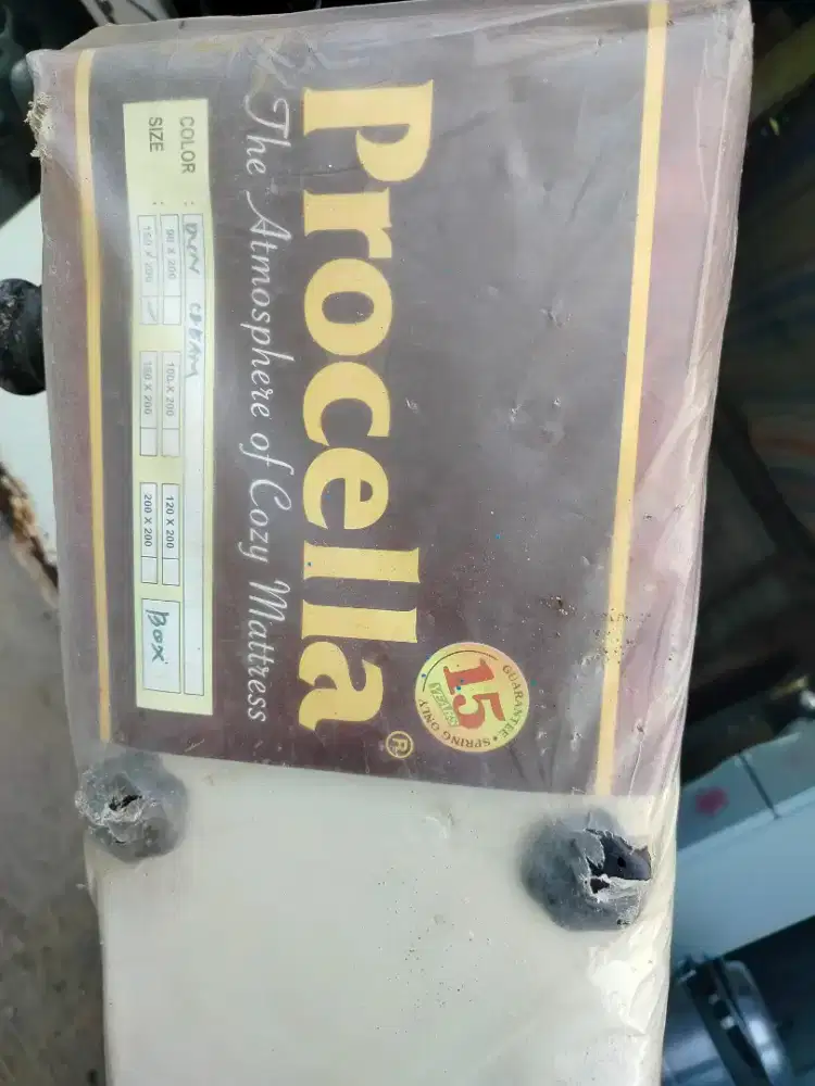 DUDUKAN KASUR NO.2 PROCELLA
