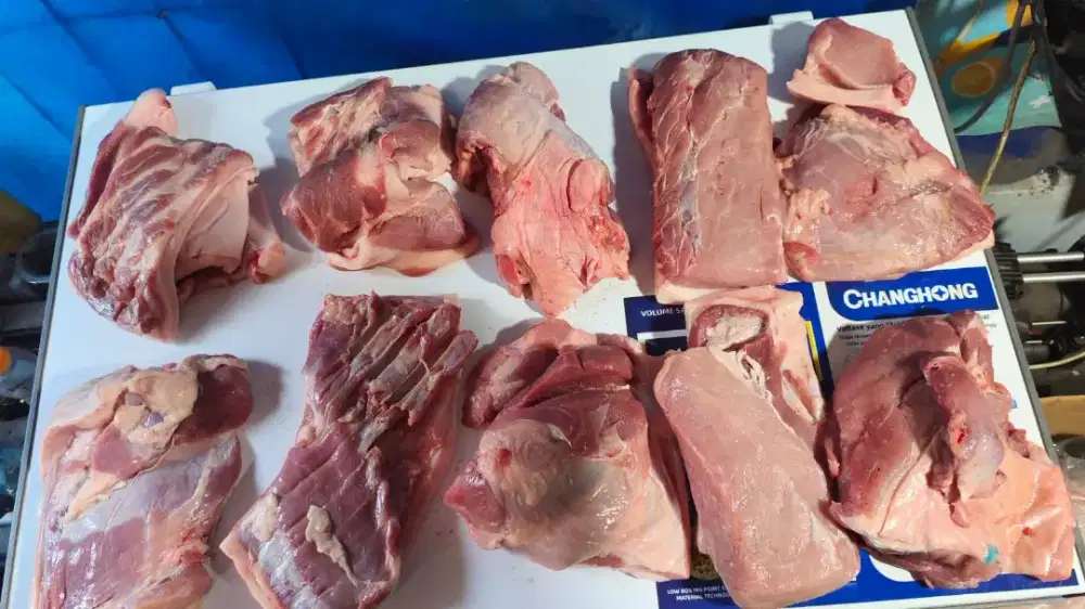 Di jual daging B2 samcan