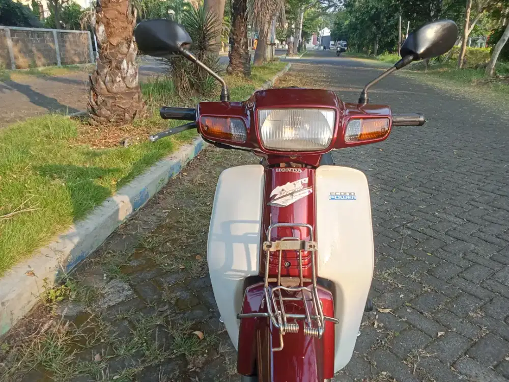 Astrea Grand Bulus