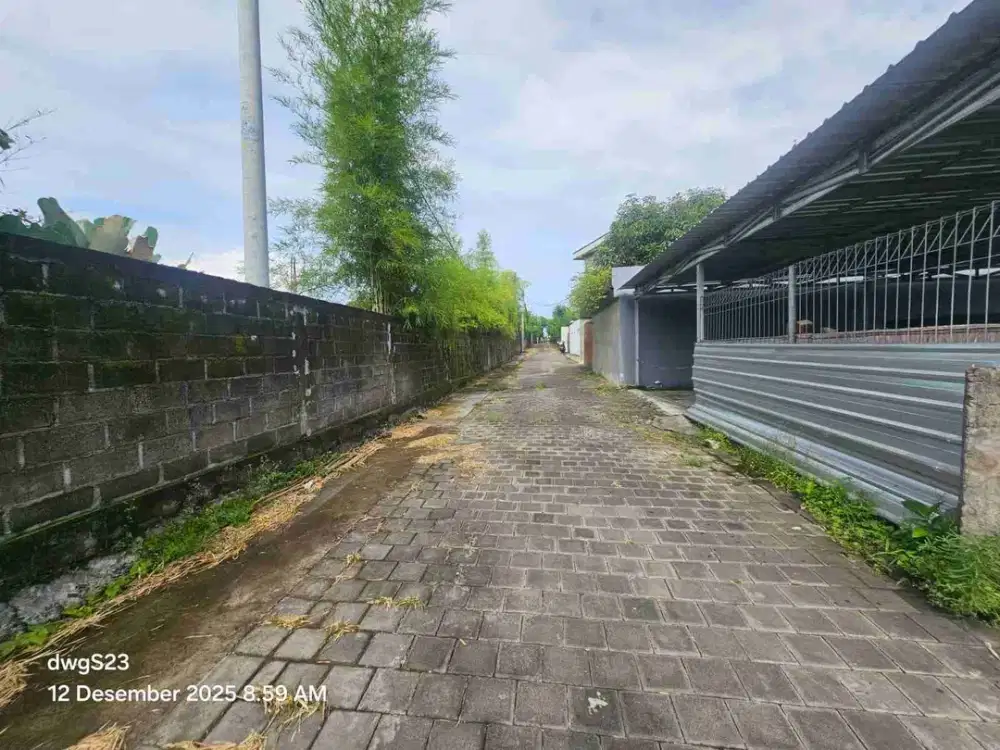 tanah bumbak umalas bali