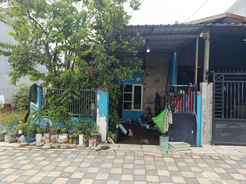 LELANG DAMAI  Dijual Rumah Murah Dekat Kampus UPN Lokasi TAMBAK MEDOKAN AYU RUNGKUT SURABAYA