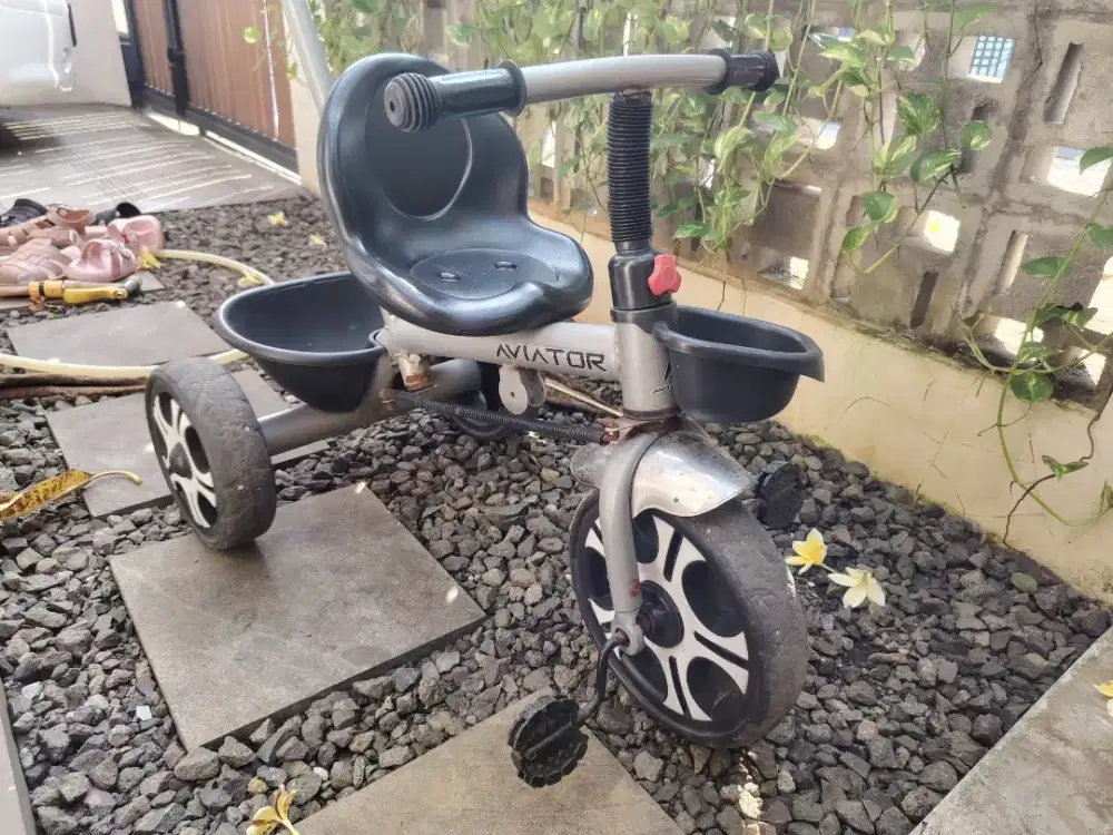 sepeda roda tiga anak