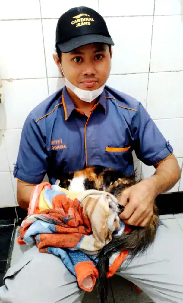 Grooming Kucing Anjing panggilan ke rumah