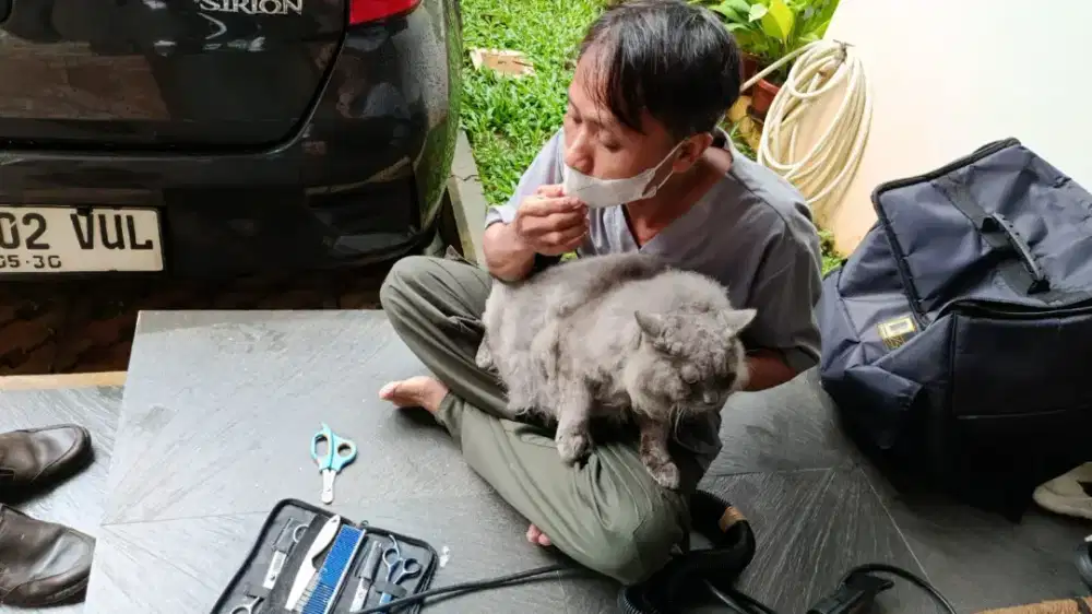 Grooming panggilan kucing dan anjing