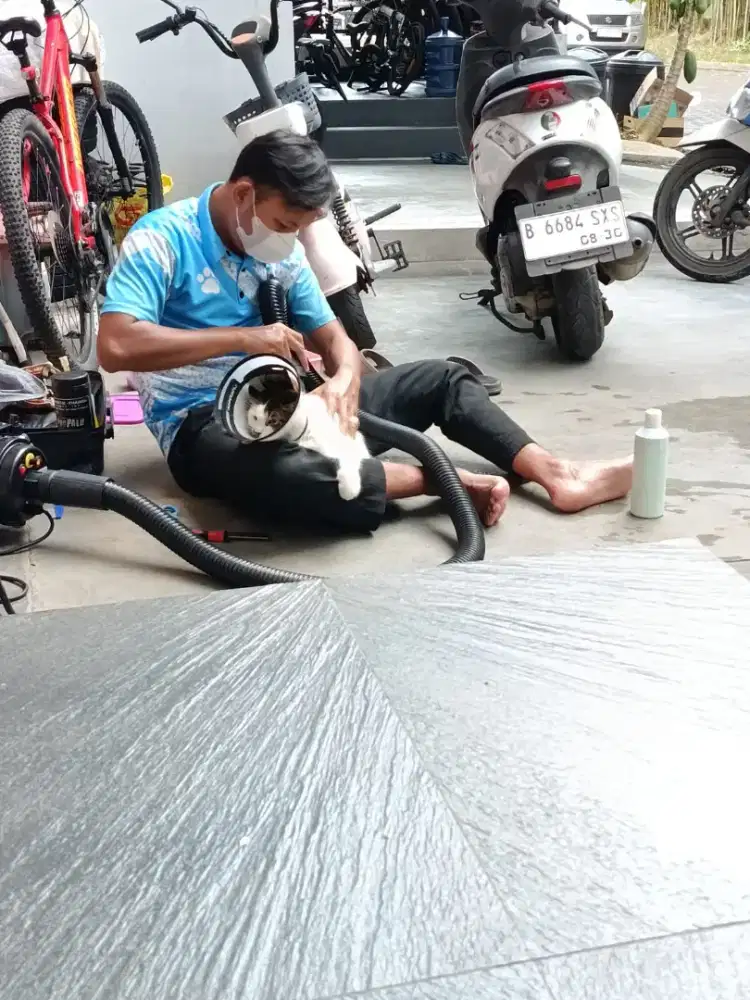 Grooming panggilan kucing anjing ke rumah