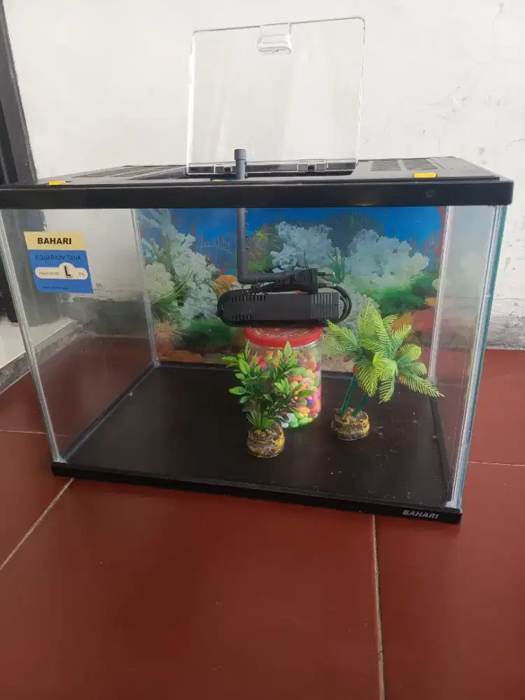 Aquarium ikan hias