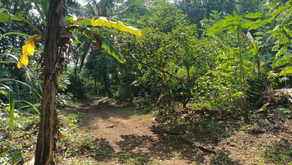 Dijual tanah masa pensiun slow living 20x21m