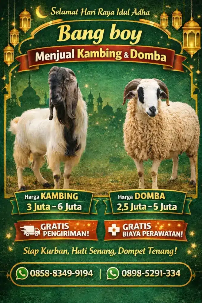 jual kambing dan domba
