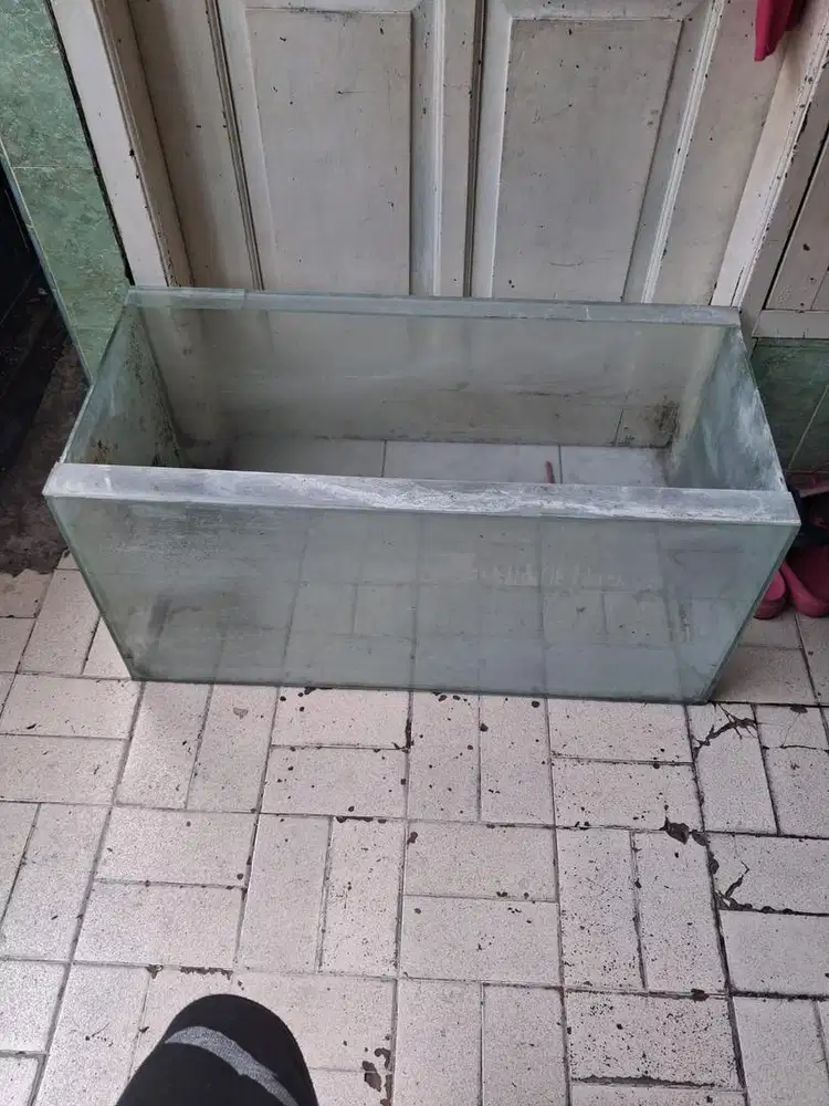 AQUARIUM cocok untuk arwana dan ikan hias