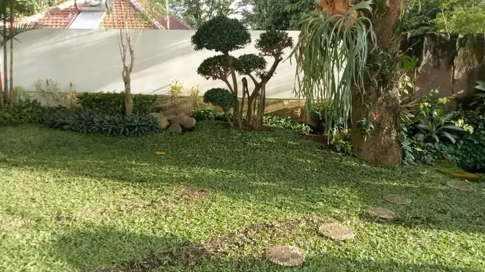jasa potong rumput, jasa rawat taman, jasa tebang pohon