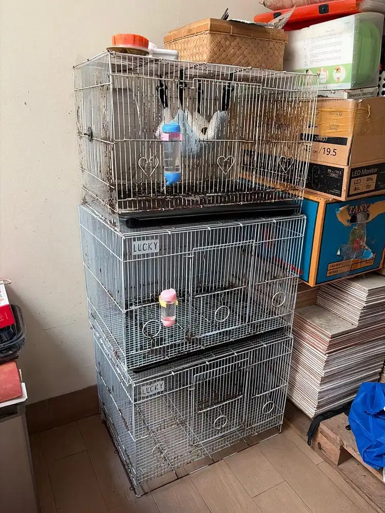 Kandang Burung Bekas