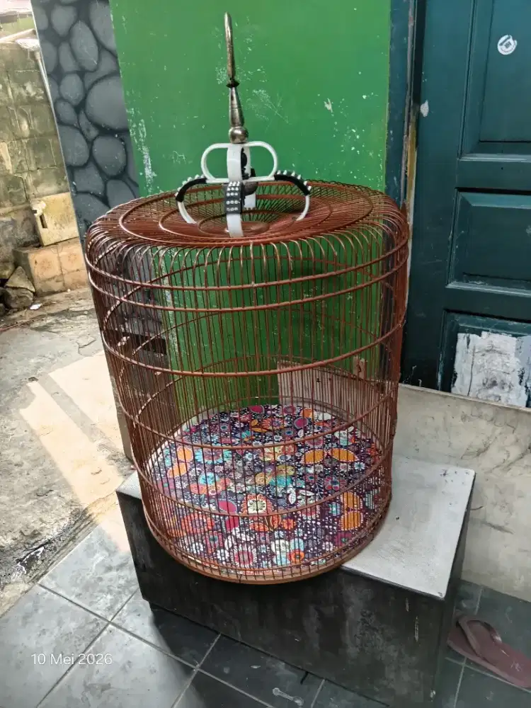 Jual sangkar murai