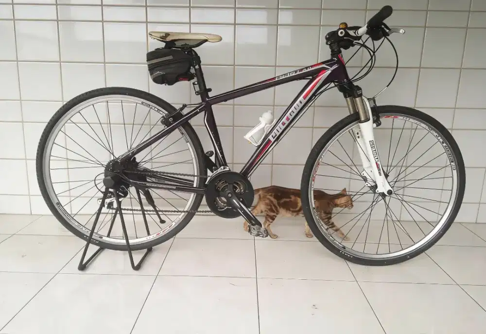 Sepeda gunung MTB hybrid polygon heist 4.0 28inch