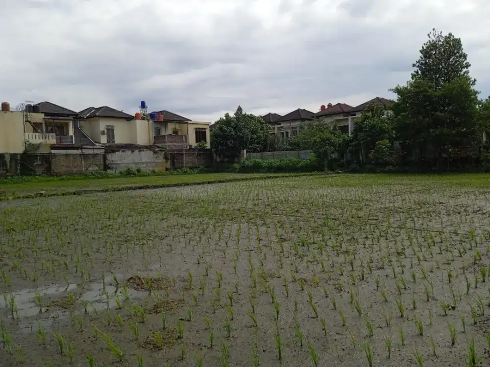 De Green Grande, Margacinta, Ciwastra. Tanah Sawah Luas di Kota Bandung