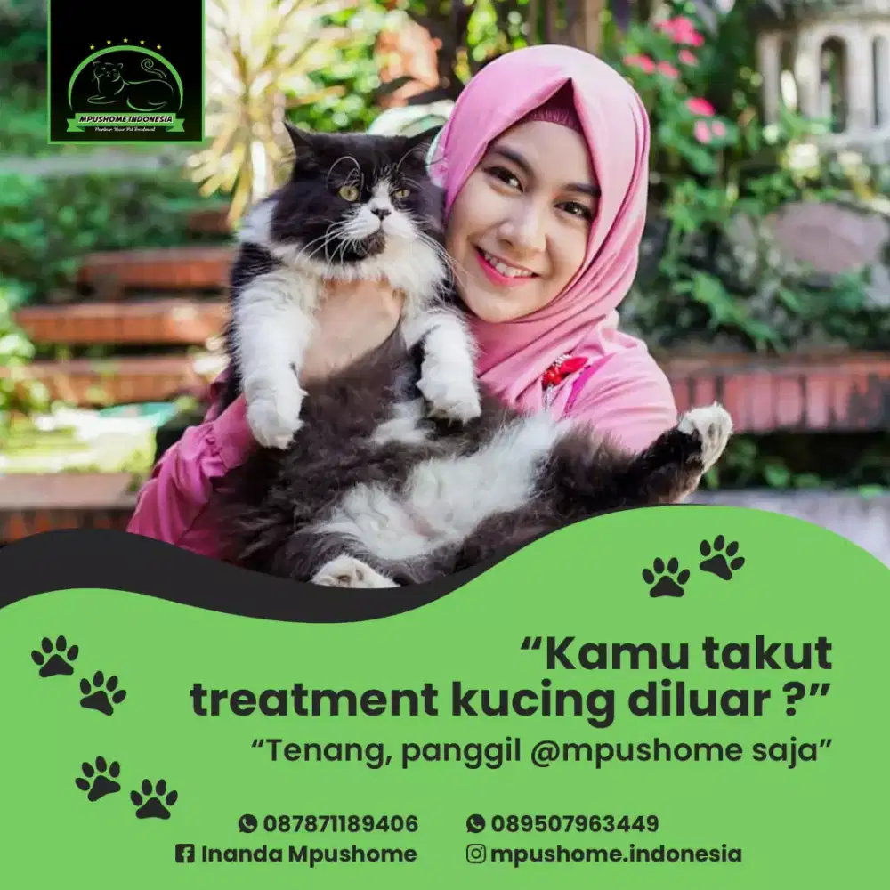 Penitipan kucing depok